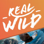 Watch Real Wild Tv