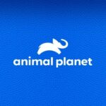 animal planet